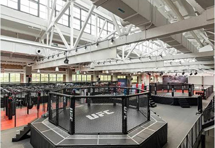 UFC美国自由搏击联盟